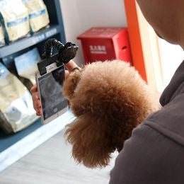 PawSelfie – Palo Selfie para Mascotas